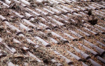 Lochaline roof cleaning companies