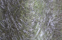 Lochaline fibreglass roof work